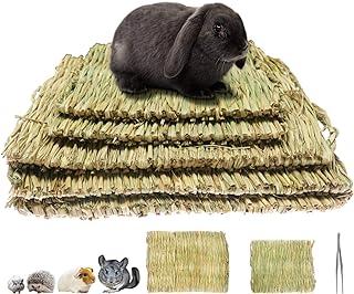 Chew Toys Bed Mat for Guinea Pig Parrot Rabbit Hamster Rat
