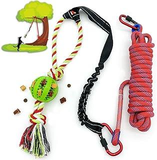Dog Bungee Hanging Toy to Solo Play