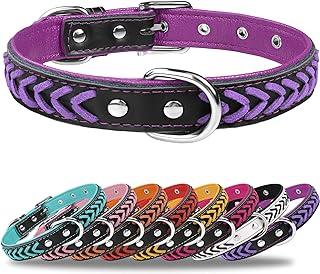 TagME Leather Dog Collar for Large Canine, Braided Padded dog collar with Double D-Rings