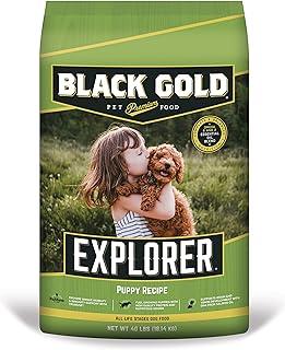 Black Gold Explorer Puppy Recipe Dry Dog Food