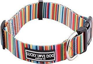 Lucky Love Dog Collar |Floral Girl or Boy – Rainbow Stripes