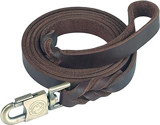 JUPUDA Braided Leather Dog Leashes 6 Foot,Brown
