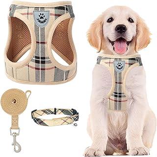 PUPTECK Adjustable Pet Harness Collar and Leash Set