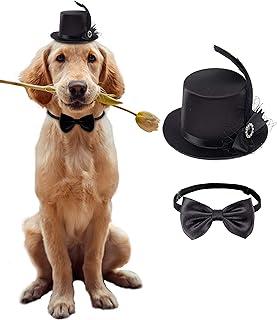 Coucoland Dog Costume Top Hat & Bow Tie Feather