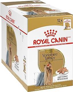 Royal Canin Yorkshire Terrier Wet Dog Food, 3 oz can 12-pack