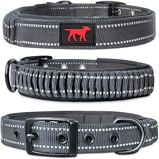 Ballistic Nylon Heavy Duty Collar with Handle | Convenient Size for All Breeds