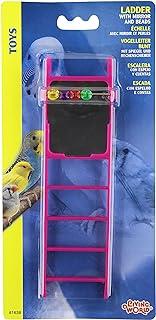 Living World Plastic Small Bird Ladder