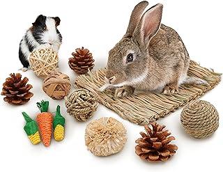 Bunny Accessories for Rabbit Supplies
