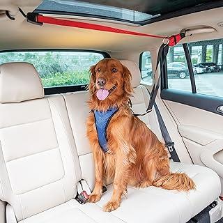 PetSafe Happy Ride Dog Zipline – Back Seat Leash