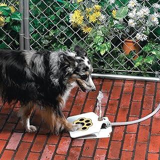 Pet Fountain – Upgraded Outdoor Dog Water Sprinkler