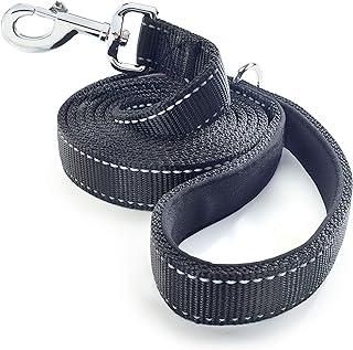 Leash for Medium, Large and Small Dogs